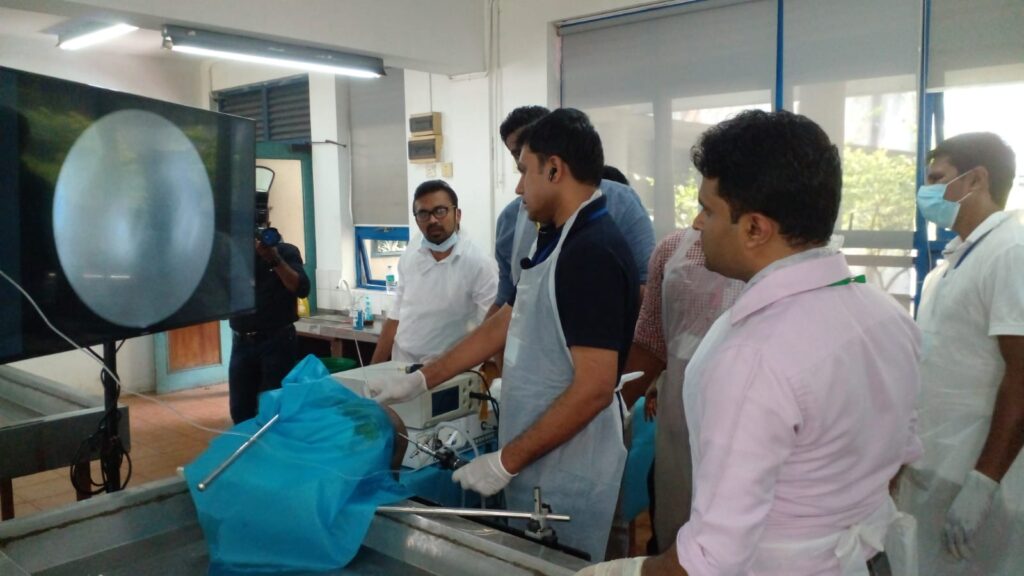 Orthopedic and Craniomaxillofacial Surgery Hands on Training Cadaveric Workshops