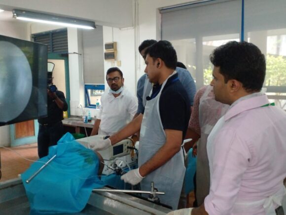 Orthopedic and Craniomaxillofacial Surgery Hands on Training Cadaveric Workshops