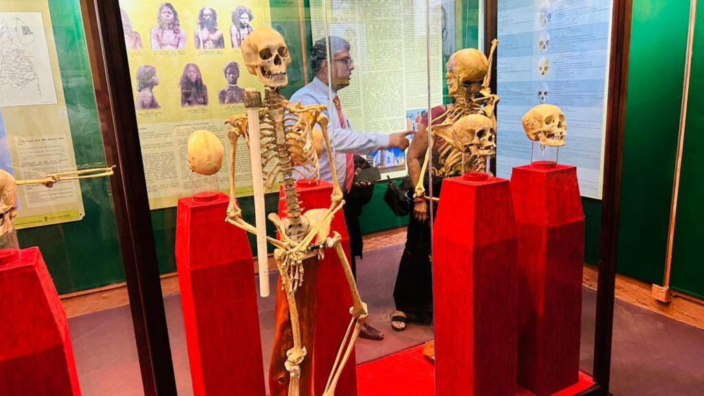 Preservation of Repatriated Indigenous Human Skeletal Remains of Sri Lankans